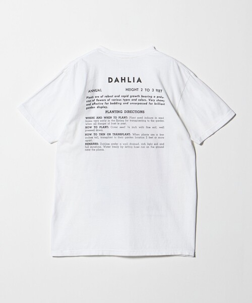 niche.(ニッチ)の「【別注】<Niche.>DAHLIA FLOWER Tシャツ(Tシャツ/カットソー・メンズ・ホワイト・M/L)」の5枚目の写真