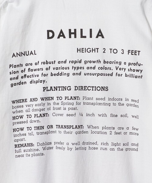 niche.(ニッチ)の「【別注】<Niche.>DAHLIA FLOWER Tシャツ(Tシャツ/カットソー・メンズ・ホワイト・M/L)」の10枚目の写真