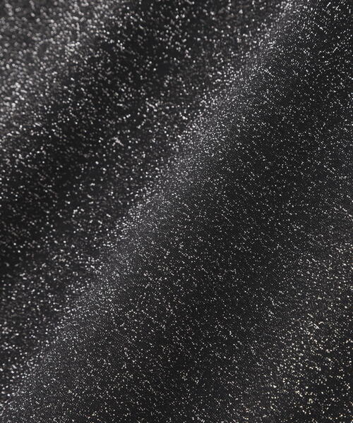 FREE'S MART（フリーズマート）の「◆シアーラメハイネックカットソー（Tシャツ/カットソー・レディース・ブラック/グレー・FREE）」の16枚目の写真