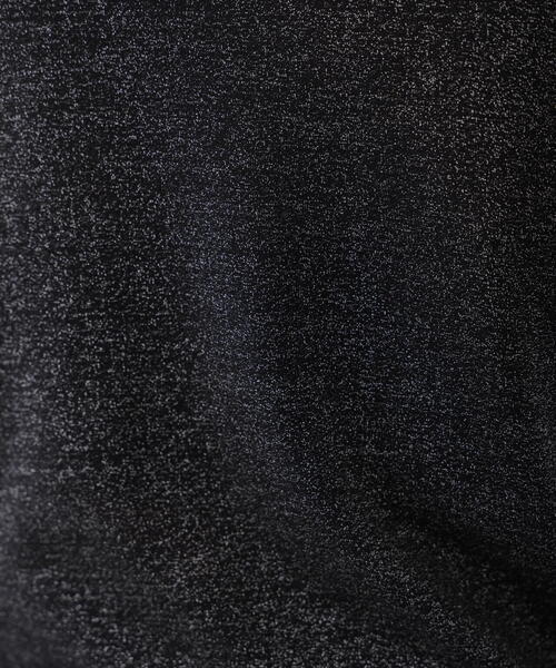 FREE'S MART（フリーズマート）の「◆シアーラメハイネックカットソー（Tシャツ/カットソー・レディース・ブラック/グレー・FREE）」の17枚目の写真