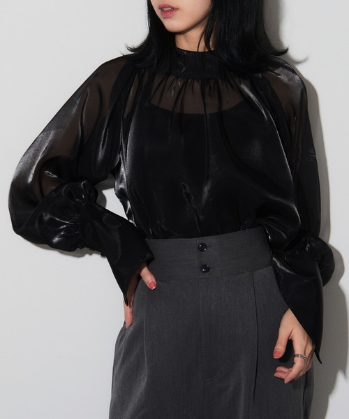MAISON BREEZE reveur（メゾンブリーズレヴール）の「【MAISON BREEZE reveur】Organdy high neck blouse オーガンジー シアーハイネックブラウス trc（シャツ/ブラウス・レディース・シルバー/ブラック・FREE）」の6枚目の写真