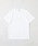 SUNSPELiTXyj́uSUNSPEL (TXy) Classic T-ShirtiTVc/Jbg\[jvbzCg