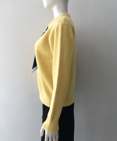 Miniministore(ミニミニストア)の「ボウタイニットトップス きれいめ 秋冬服(ニット/セーター・レディース・レッド/イエロー/ホワイト/ブラック・FREE)」の12枚目の写真