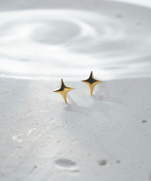 金属アレルギー軽減】プチ トゥインクル ステンレス ピアス（ピアス