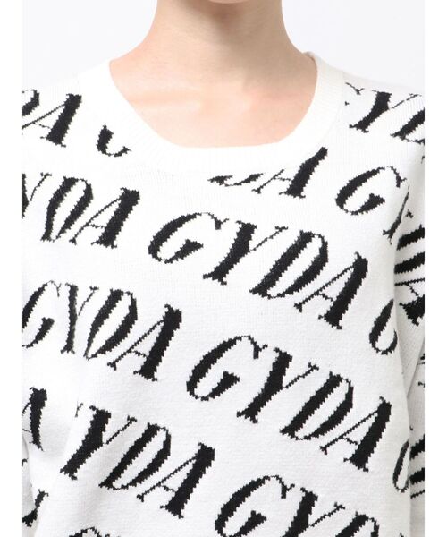 GYDA（ジェイダ）の「GYDA SLANT PATTERNニットトップス（ニット/セーター・レディース・グレー/オフホワイト/ブラック・FREE）」の20枚目の写真