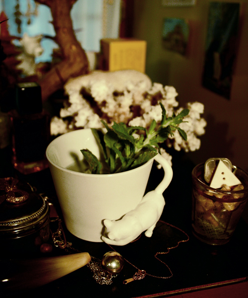 THOUSAND LEAVES（サウザンドリーブス）の「THOUSAND LEAVES / カップ＆ソーサー　「REDY OR NOT?」（グラス/マグカップ/タンブラー・レディース・その他2/その他3/その他1・FREE）」の4枚目の写真