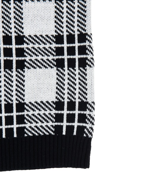 PUNYUS(プニュズ)の「チェックオーバーニットベスト(ベスト・レディース・ホワイト/イエロー/ブルー/グリーン・1/2/4/3)」の16枚目の写真