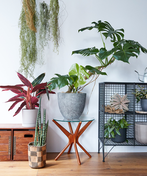 ACME FURNITURE（アクメファニチャー）の「TRESTLES SIDE TABLE CLR トラッセルサイドテーブル（家具・レディース・その他・FREE）」の20枚目の写真