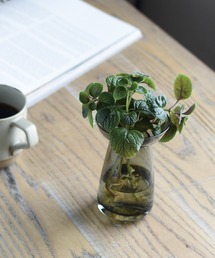 collex（コレックス）の「【KINTO /キントー】アクアカルチャーベース80（フラワーベース）」