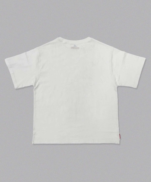 Tシャツ・カットソー teket Document Tee 5FT1816 Lot 4089 - Border 3x2 Inch Stripe - Navy/Grey | Dant
