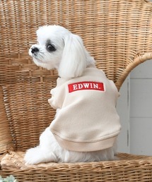 EDWIN(GhEB)EDWIN/t[XSXEFbg(ybgEFA)