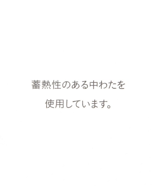 Elura(エルーラ)の「蓄熱綿マフラー/608764(マフラー・レディース・ブラウン系その他2・FREE)」の19枚目の写真