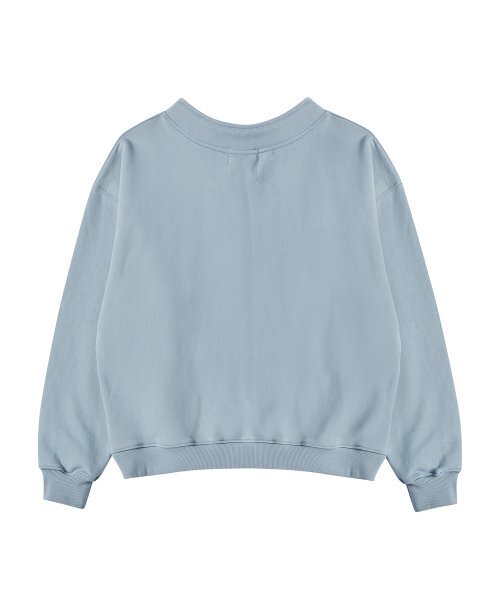 Beyond Closet（-）の「[コレクションライン] ニューアイビーリーグハーフネックビンテージスウェットシャツティルブルー（スウェット・レディース・その他・FREE）」の2枚目の写真