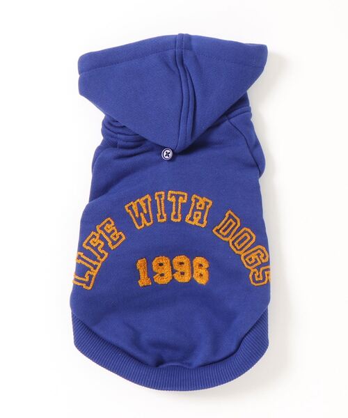 犬と生活（イヌトセイカツ）の「犬と生活/いぬとせいかつ/カレッジ