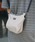 STANDARD SUPPLY�i�X�^���_�[�h�T�v���C�j�́u�X�^���_�[�h�T�v���C / SIMPLICITY �V���v���V�e�B / W ZIP SHOULDER M �_�u���W�b�v�V�����_�[M�i�V�����_�[�o�b�O�j�v�b�O���[
