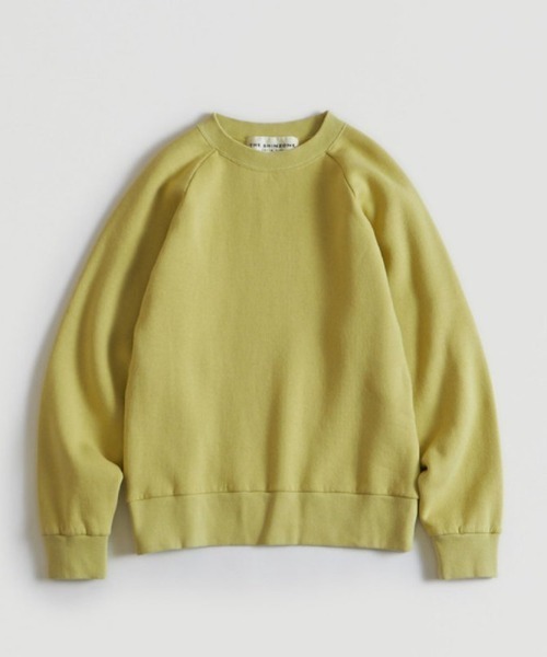 THE SHINZONE（ザ　シンゾーン）の「THE SHINZONE COMMON SWEAT 22AMSCU02（スウェット・レディース・ブラウン/ライトブルー/ライトグリーン/ブルー/イエロー/ブラック/パープル/グリーン・FREE）」の8枚目の写真