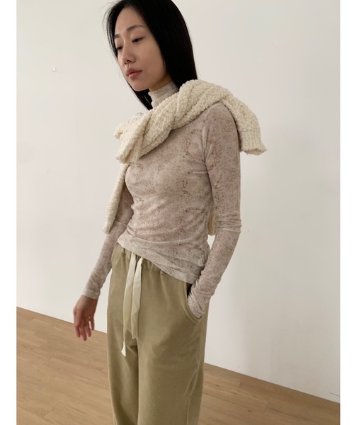 Didot.showroom(ディドット ショールーム)の「レースプリントイシアーハイネックT(Tシャツ/カットソー・レディース・ブラウン/ミント/グレー・FREE)」の4枚目の写真
