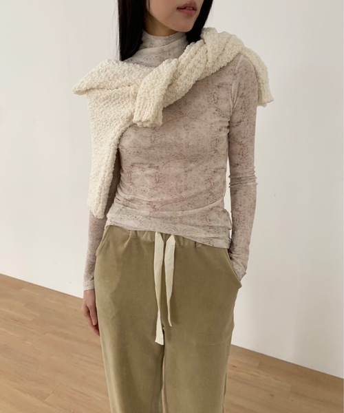 Didot.showroom(ディドット ショールーム)の「レースプリントイシアーハイネックT(Tシャツ/カットソー・レディース・ブラウン/ミント/グレー・FREE)」の6枚目の写真