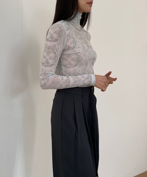Didot.showroom(ディドット ショールーム)の「レースプリントイシアーハイネックT(Tシャツ/カットソー・レディース・ブラウン/ミント/グレー・FREE)」の12枚目の写真