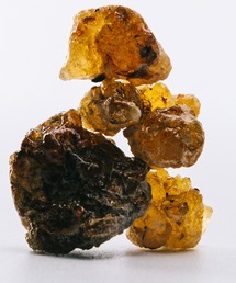 LOEWE Perfumes（ロエベ パルファム）の「オードゥ パルファン ”ロエベ