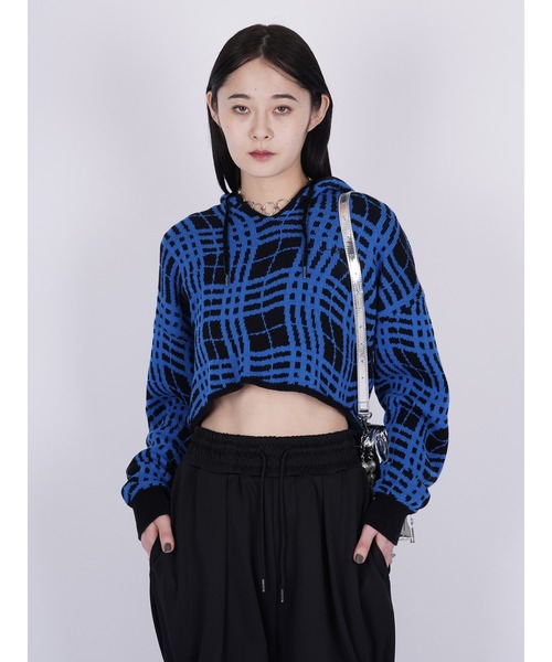 PAMEO POSE（パメオポーズ）の「Skewed Checks Cropped Knit Hoodie（ニット/セーター・レディース・グリーン/ブルー・FREE）」の9枚目の写真