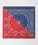 SHIPSiVbvXj́uHALO COMMODITY: BANDANAio_i/XJ[tjvbbh