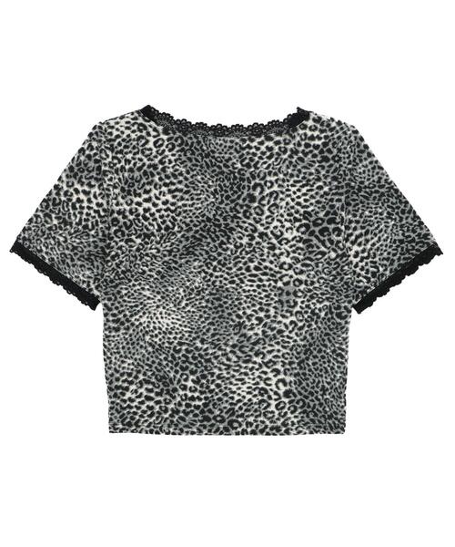 WEGO（ウィゴー）の「WEGO/レオパードレースちびT（Tシャツ/カットソー・レディース・グレー/ブラウン・FREE）」の16枚目の写真