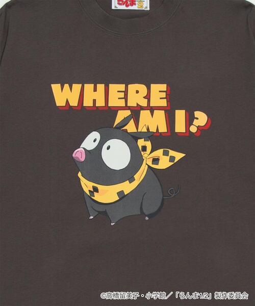 WEGO（ウィゴー）の「∴WEGO/別注らんま1/2グラフィックT(SS)（Tシャツ/カットソー・メンズ・その他3/その他4/その他1/その他2・MEDIUM/LARGE）」の11枚目の写真