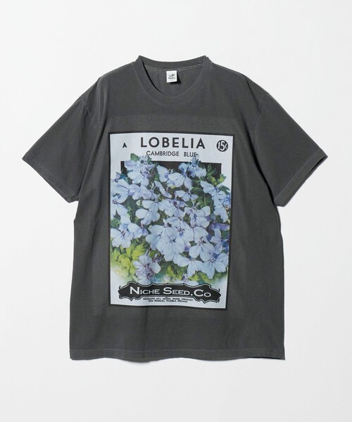 niche.(ニッチ)の「【別注】<Niche.>LOBELIA FLOWER Tシャツ(Tシャツ/カットソー・メンズ・ブラック・M/L)」の1枚目の写真