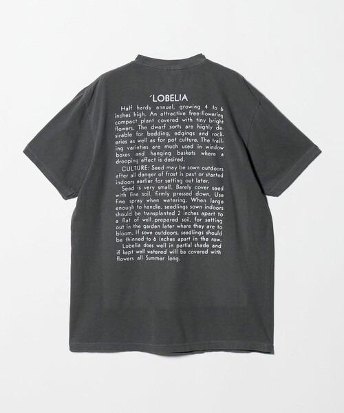 niche.(ニッチ)の「【別注】<Niche.>LOBELIA FLOWER Tシャツ(Tシャツ/カットソー・メンズ・ブラック・M/L)」の9枚目の写真