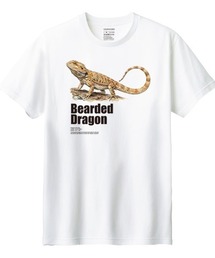 Moftique（モフティック） 半袖Tシャツ フトアゴヒゲトカゲ 爬虫類 ペット アニマル プリント Tシャツ 半袖 トップス カットソー レディース 夏