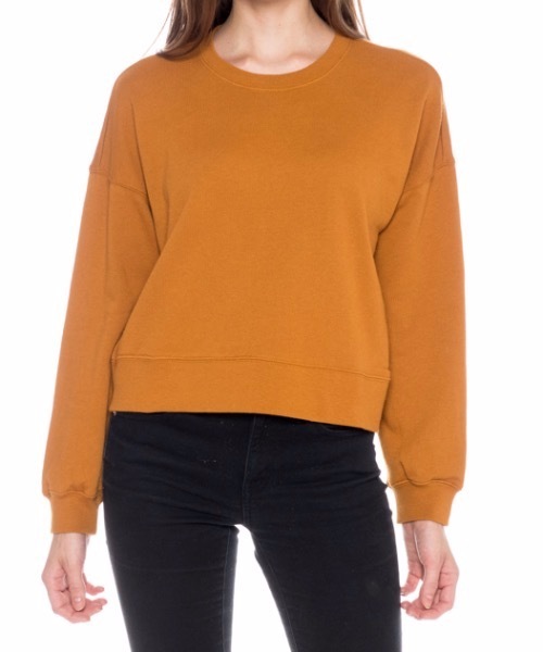 RVCA（ルーカ）の「RVCA レディース BIG COPY PULLOVER SWEATSHIRT トレーナー/ルーカ バックロゴプリント（スウェット・レディース・ブラウン・X-SMALL/SMALL/MEDIUM）」の3枚目の写真