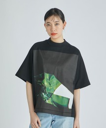 74162408b_8_d_215.jpg