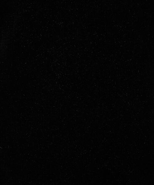 green label relaxing(グリーンレーベルリラクシング)の「シアー ベロア コンパクト Tシャツ(Tシャツ/カットソー・レディース・ライトグレー/ライトブルー/ブラック/ブラウン・FREE)」の19枚目の写真