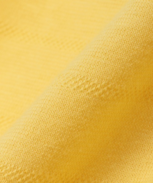 kladskap（クレードスコープ）の「恐竜長袖ジップパーカ（パーカー・キッズ・マスタード/サックスブルー・130cm/90cm/120cm/110cm/80ｃｍ/100cm）」の19枚目の写真