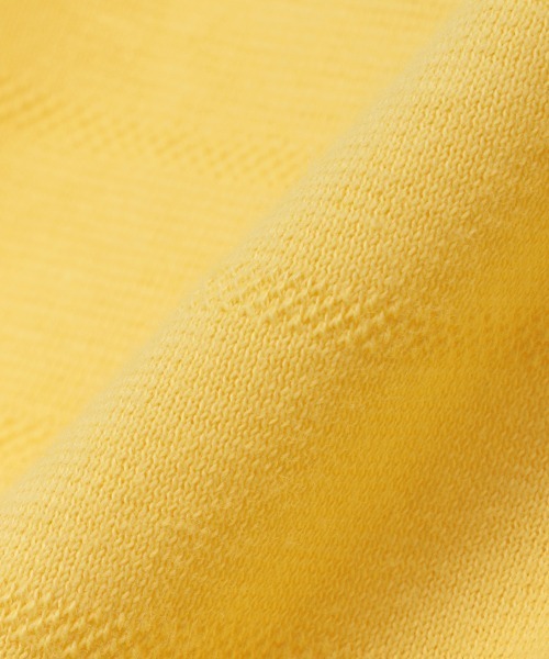 kladskap（クレードスコープ）の「恐竜長袖ジップパーカ（パーカー・キッズ・マスタード/サックスブルー・130cm/90cm/120cm/110cm/80ｃｍ/100cm）」の5枚目の写真