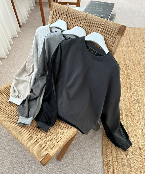 WAREHOUSE スウェット（ONETT）（TESSIE） 2枚　セット WAREHOUSE スウェット 第1回 約30年間作られてきた逸品