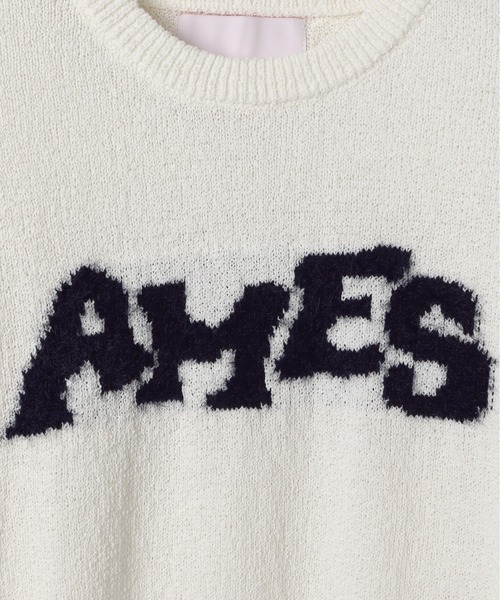 AMESWORLDWIDE（アメスワールドワイド）の「AMES WORLDWIDE ／HAIRYロゴ半袖ニット（ニット/セーター・レディース・ネイビー/レッド/アイボリー・FREE）」の14枚目の写真