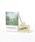 studio CLIP�i�X�^�f�B�I�N���b�v�j�́u�ydaily CLIP�zBARK&BRANCH�f�B�t���[�U�[100ml�i���[���t���O�����X/�����j�v�b���̑�2