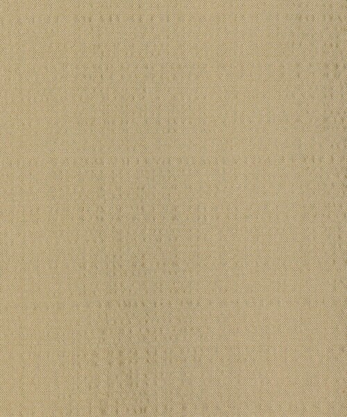 BACCA（バッカ）の「シアサッカー ペプラムブラウス（シャツ/ブラウス・レディース・ネイビー/ベージュ・36/34）」の4枚目の写真