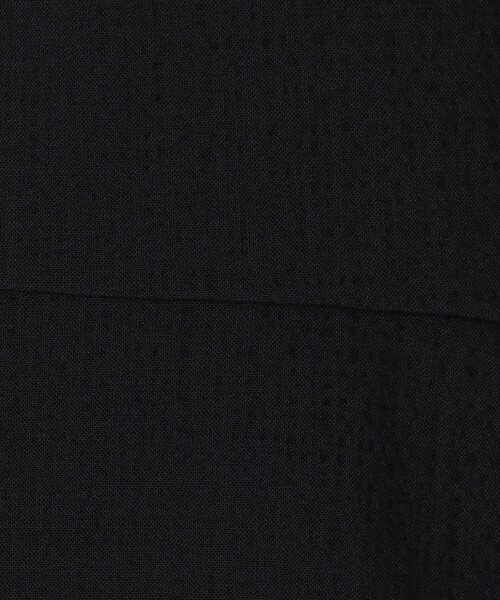 BACCA（バッカ）の「シアサッカー ペプラムブラウス（シャツ/ブラウス・レディース・ネイビー/ベージュ・36/34）」の3枚目の写真