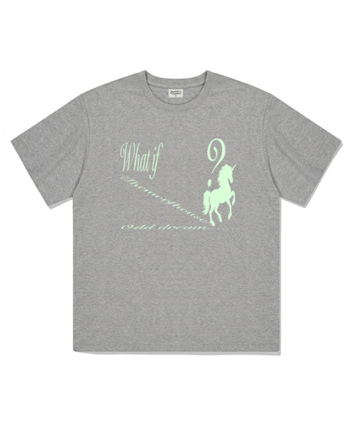 THEMORFHOUSE(ザモーフハウス)の「ワットイフユニコーン オーバーサイズ 半袖Tシャツ グレー(Tシャツ/カットソー・レディース・その他・SMALL/MEDIUM/LARGE)」の2枚目の写真
