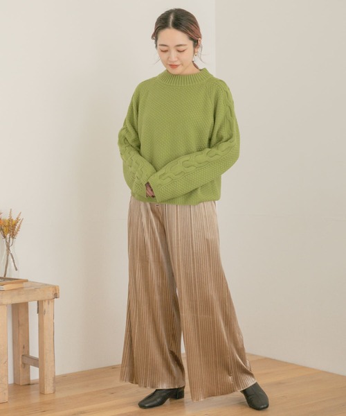 ITEMS URBANRESEARCH（アイテムズ アーバンリサーチ）の「ベロアプリーツパンツ（その他パンツ・レディース・ブラック/ベージュ/ピンク/グリーン系その他・FREE）」の11枚目の写真