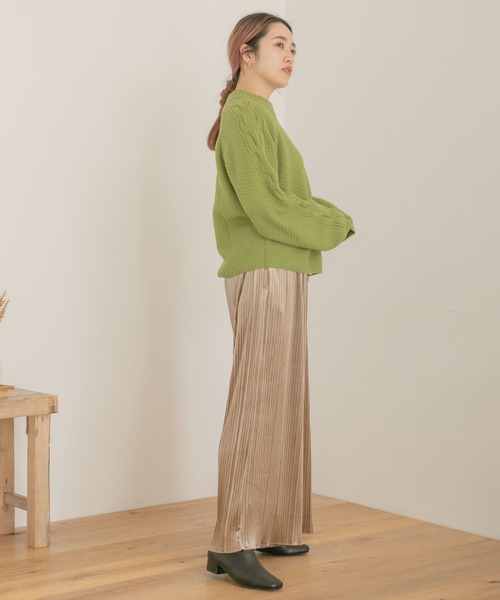 ITEMS URBANRESEARCH（アイテムズ アーバンリサーチ）の「ベロアプリーツパンツ（その他パンツ・レディース・ブラック/ベージュ/ピンク/グリーン系その他・FREE）」の12枚目の写真