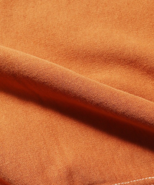 STUSSY(ステューシー)の「STUSSY/ステューシー CONTRAST STITCH LABEL HOOD フーディー(パーカー・メンズ・レンガ・S/L/XL/M)」の3枚目の写真