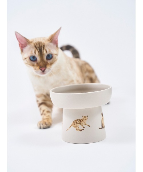 gelato pique　CAT＆DOG　フードボウル　ジェラピケ　お皿　ペット gelato pique（ジェラートピケ）【CAT&DOG】【販路限定商品