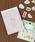 studio CLIPiX^fBINbvj́u莆 pbhi蒠/jvb̑2