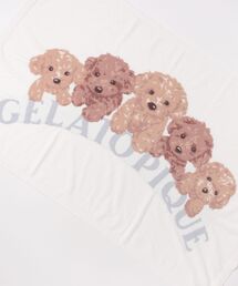 gelato pique（ジェラートピケ）の「トイプードルジャガード