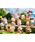 �g�C�U��X�E�x�r�[�U��X�i�g�C�U���X�x�r�[�U���X�j�́uLULU THE PIGGY LULULAND SERIES �����E�U�E�s�M�[ ���������h�V���[�Y�y��ރ����_���z�i��������j�v�b�}���`