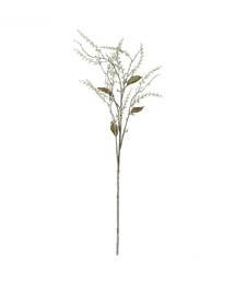 a.depeche(�A�f�y�V��)�́ya.depeche/�A�f�y�V���z�A�[�e�B�t�B�V�����t�����[ / ���� / colorer �P��(04-01NK-WH)(�t�����[�x�[�X)